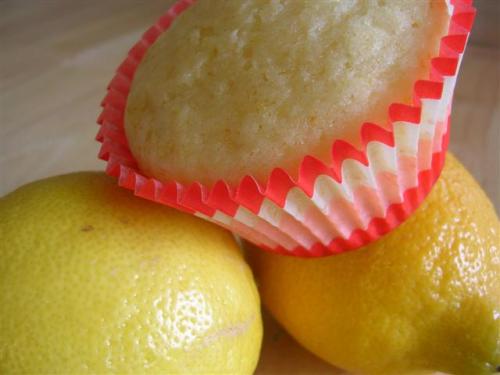 lemonmuffin-004-small